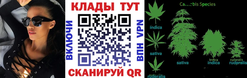 Купить закладку КОКАИН  Меф  Метамфетамин  ГАШИШ  Медынь