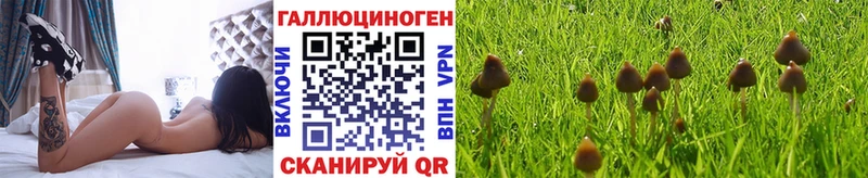 Псилоцибиновые грибы GOLDEN TEACHER  Купить  Медынь 